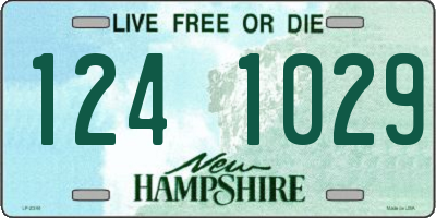 NH license plate 1241029