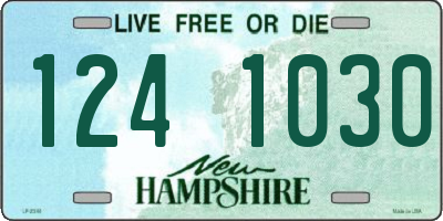 NH license plate 1241030