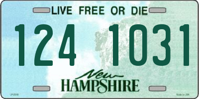 NH license plate 1241031