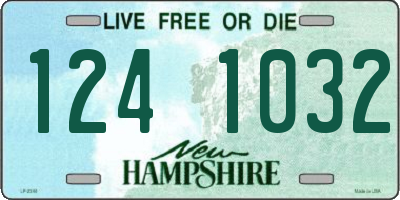 NH license plate 1241032