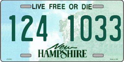 NH license plate 1241033