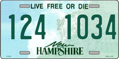 NH license plate 1241034