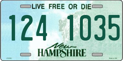 NH license plate 1241035