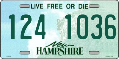 NH license plate 1241036
