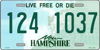 NH license plate 1241037