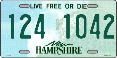 NH license plate 1241042