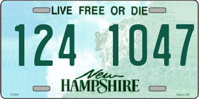 NH license plate 1241047