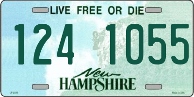 NH license plate 1241055