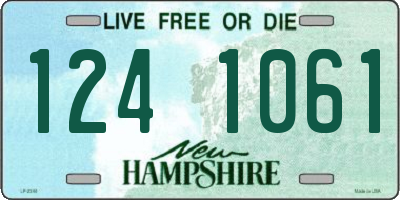 NH license plate 1241061