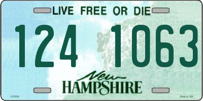 NH license plate 1241063
