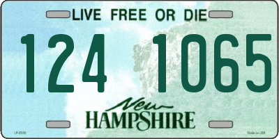 NH license plate 1241065