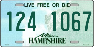 NH license plate 1241067