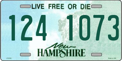 NH license plate 1241073