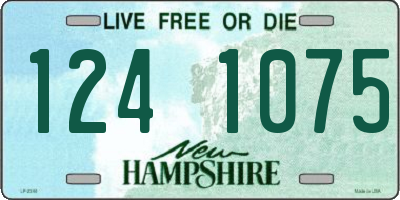 NH license plate 1241075