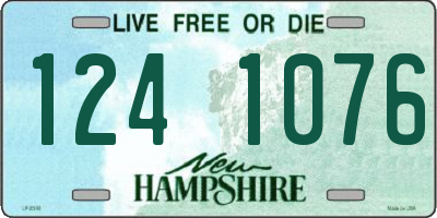 NH license plate 1241076