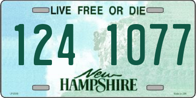 NH license plate 1241077