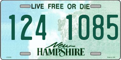 NH license plate 1241085