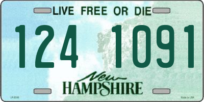 NH license plate 1241091