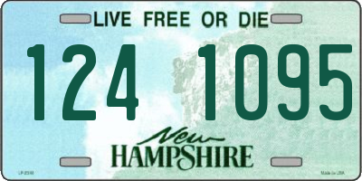 NH license plate 1241095