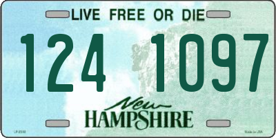 NH license plate 1241097