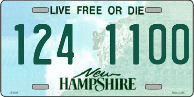 NH license plate 1241100