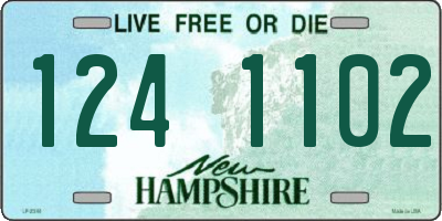 NH license plate 1241102