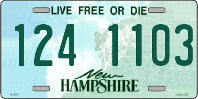 NH license plate 1241103