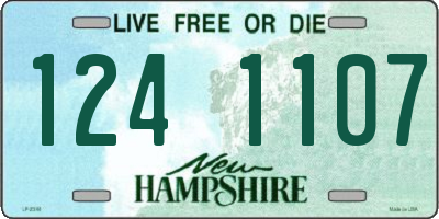 NH license plate 1241107