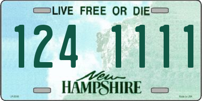 NH license plate 1241111