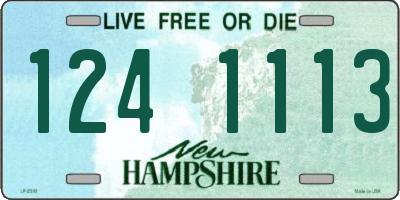 NH license plate 1241113