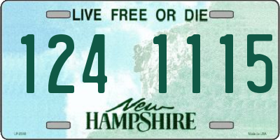 NH license plate 1241115