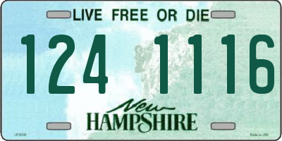 NH license plate 1241116