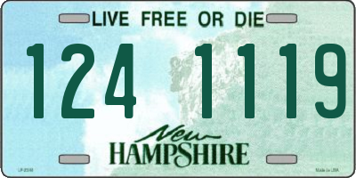 NH license plate 1241119