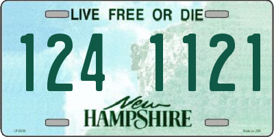 NH license plate 1241121