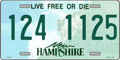 NH license plate 1241125
