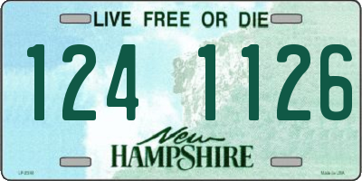 NH license plate 1241126