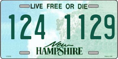 NH license plate 1241129