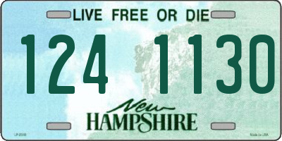 NH license plate 1241130
