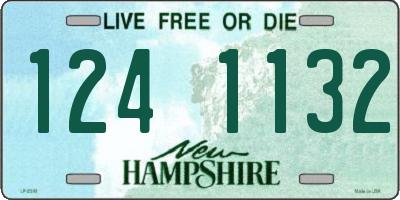 NH license plate 1241132
