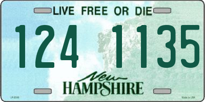 NH license plate 1241135