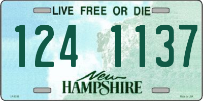 NH license plate 1241137