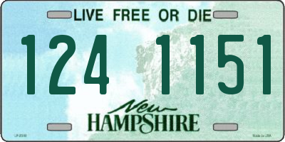 NH license plate 1241151