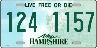 NH license plate 1241157