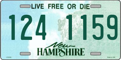 NH license plate 1241159
