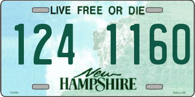 NH license plate 1241160