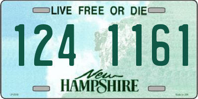 NH license plate 1241161