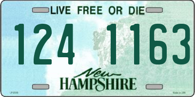 NH license plate 1241163