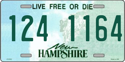 NH license plate 1241164
