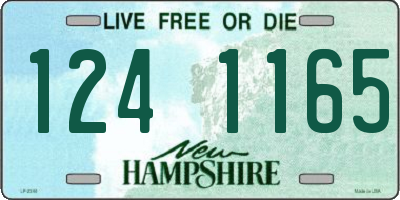 NH license plate 1241165