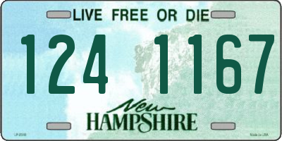 NH license plate 1241167